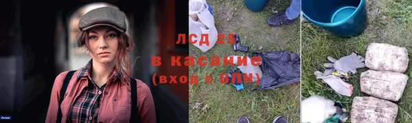 a pvp Бородино