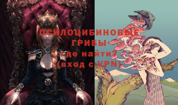 марки nbome Богданович