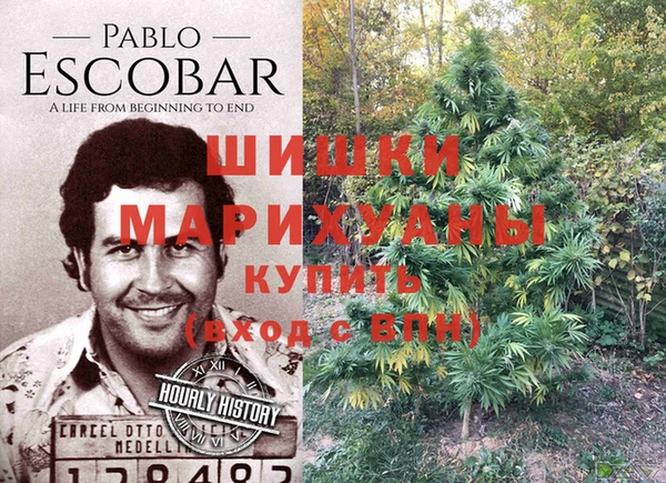 марки nbome Богданович