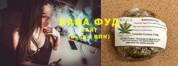 a pvp Бородино