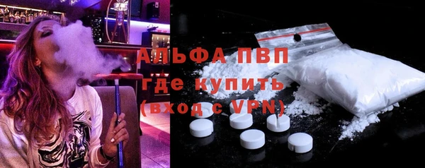 a pvp Бородино