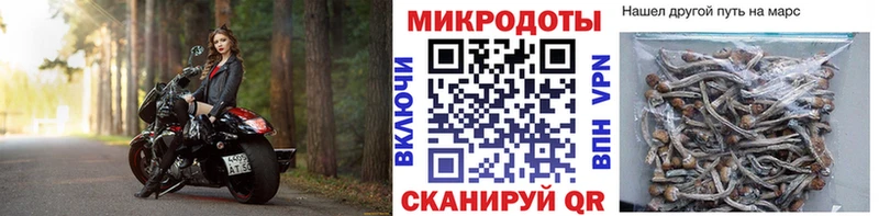 Купить где  Самара  Галлюциногенные грибы мицелий 