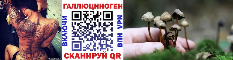 Галлюциногенные грибы Psilocybine cubensis Самара